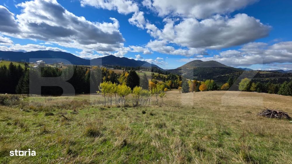 Teren 1,5 hectare - la Piatra Fantanele