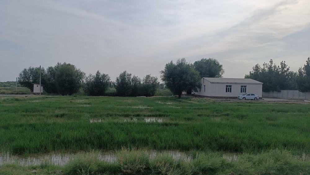 сооружения цехов по производству асфальтобетона 
и сортировке камня