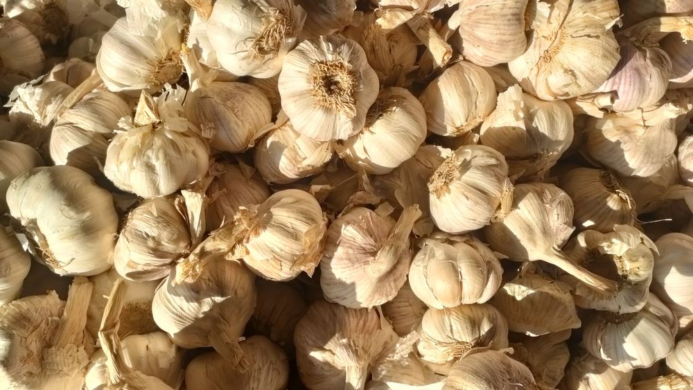 Чеснок для приправы и соусы ресторанов