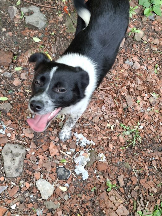 Маленькая очаровашка и её мама