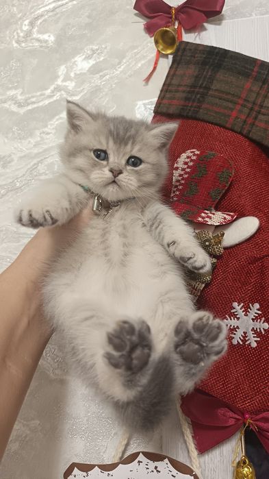 Шикарные мальчишки от правильной вязки