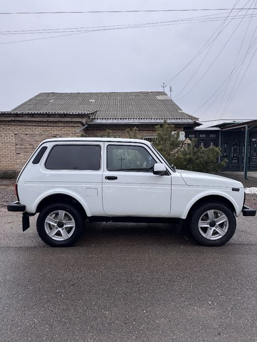 Niva sotiladi xolati zor