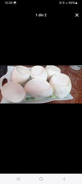 Brânză de vacă  de vanzare