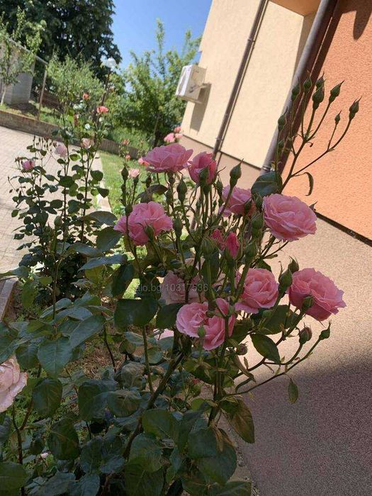 Дава се под наем Мезонет в Сандански - 111 кв.м за 390.15 € - Снимка #18