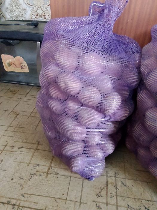 Домашний картофель