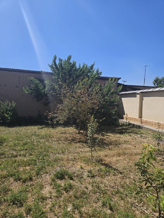 Дурмон Қ.Ф.Й Янги Арғин маҳалласида 2.4    сотих ер участкаси сотилади