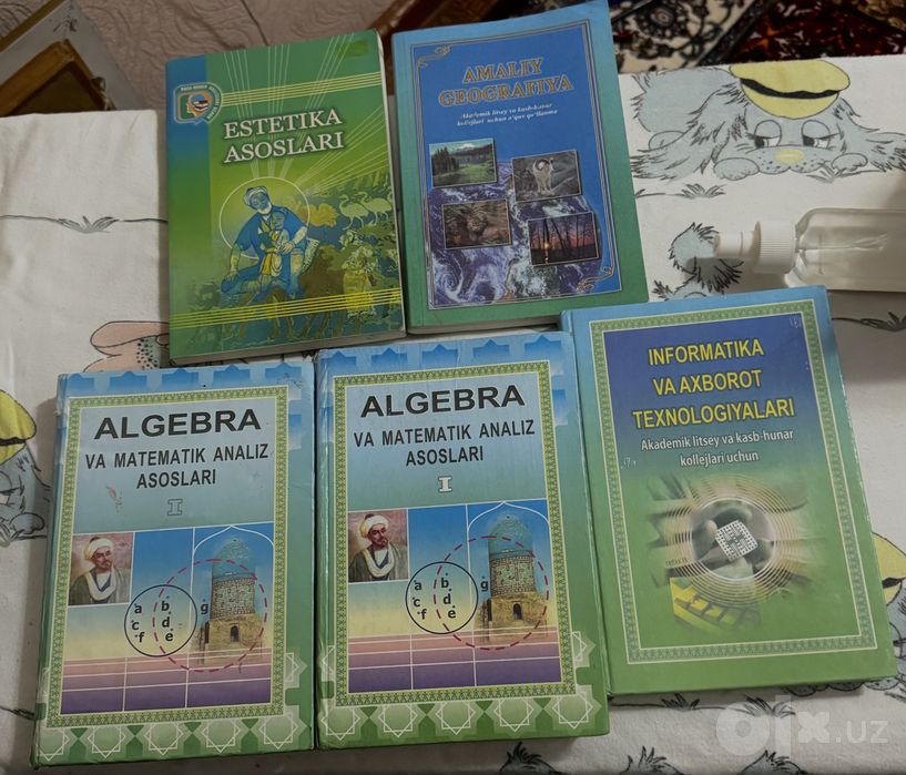 Algebra va matematik analiz,Estetika asoslari,informatika va axborot
