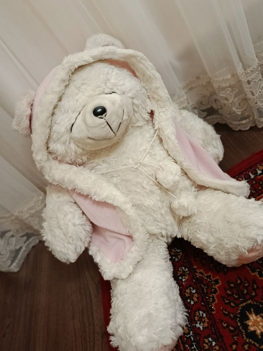 Yaponski oq teddy