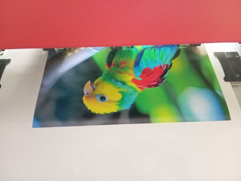 Продам Широкоформатный (Интерьерный) принтер Optimus 1800