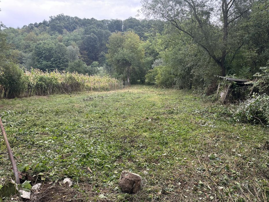 Casa de vanzare Paraul de Vale