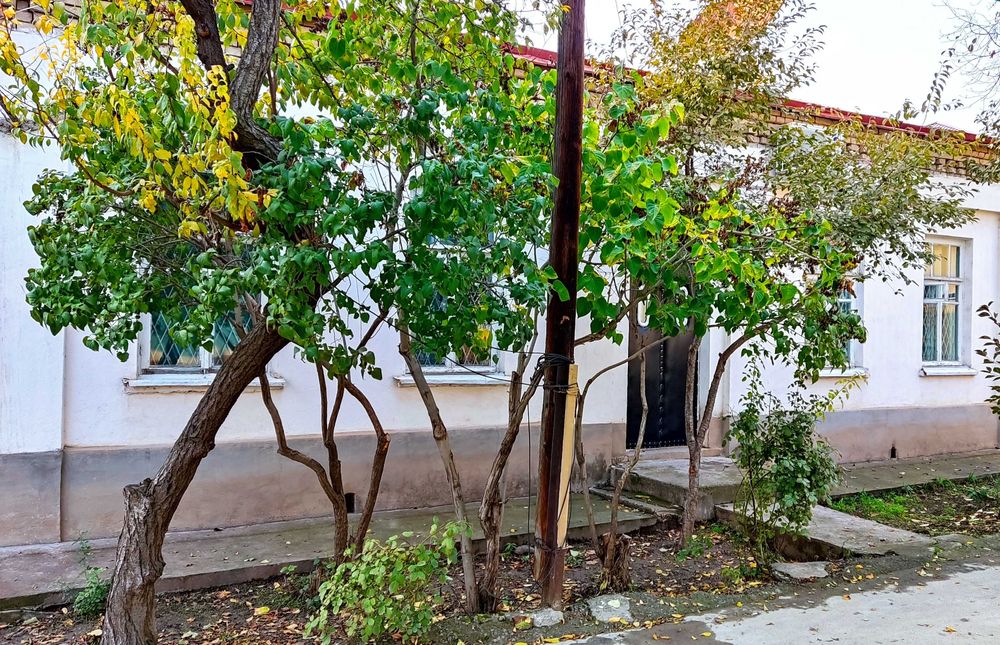 Дом в центре. Собственник. Хороший торг для реального покупателя.