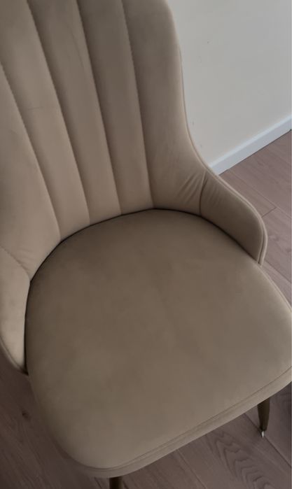 Новый пылесос-химчтичка