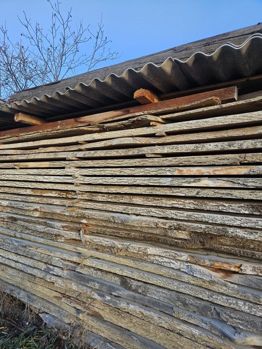 Cherestea netivita frasin