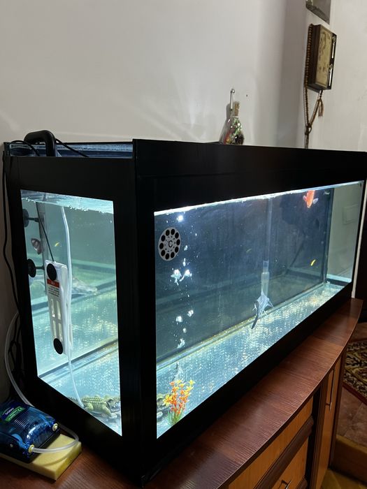 Аквариум 200 литров