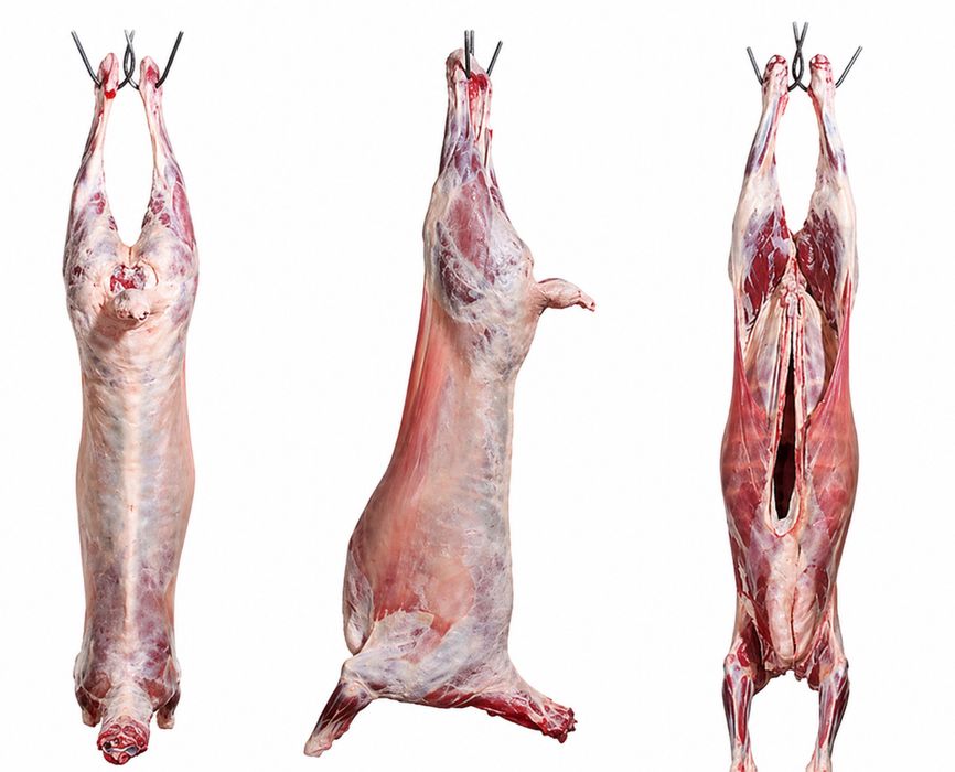 Касапшы мясник кой баран