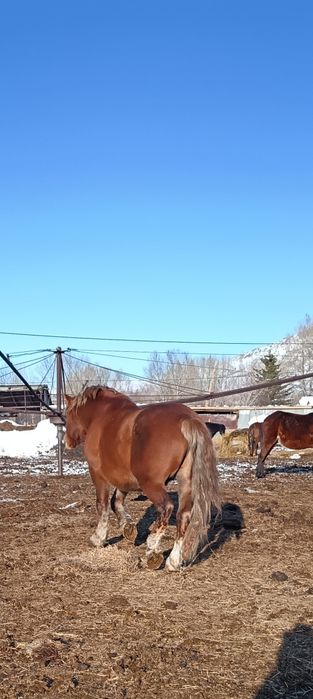 Продам советский тяжеловоз