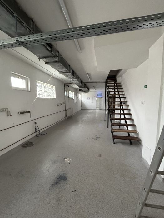 Inchiriez casa  P+1E cu Hală 1667 mp Teren- 27FS în zona Mehala