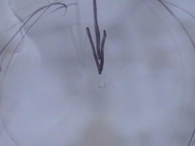 Лепене на ударени от камък и спукани автостъкла