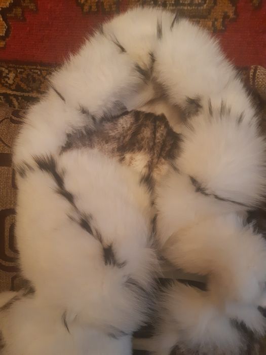 Новый  полушубок.  Кролик.