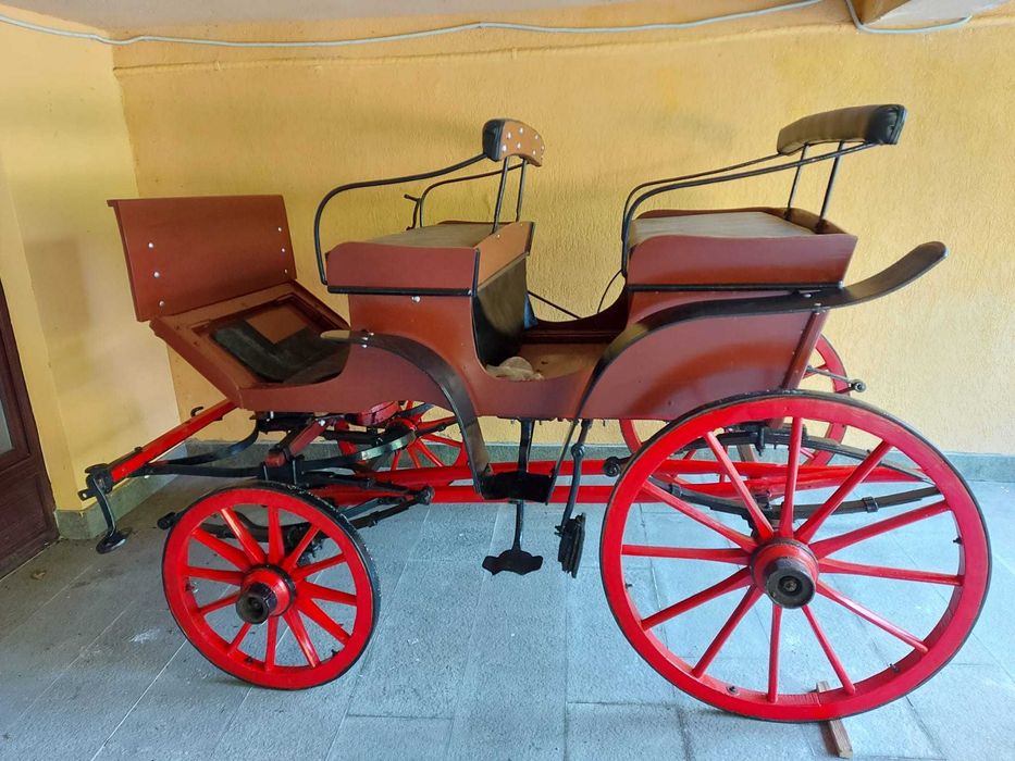 Trasura cu un cal in stare deosebita