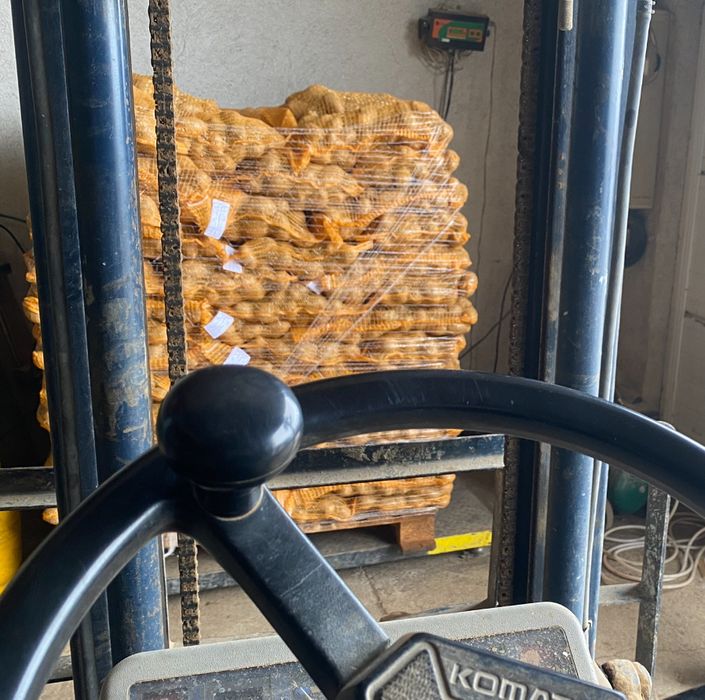 Картофи сорт сорая – фракция 50+