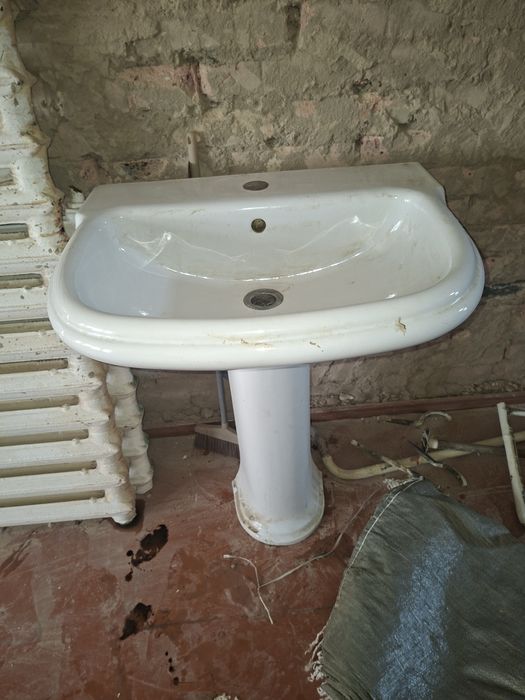 Срочно продаю тулпа целый.