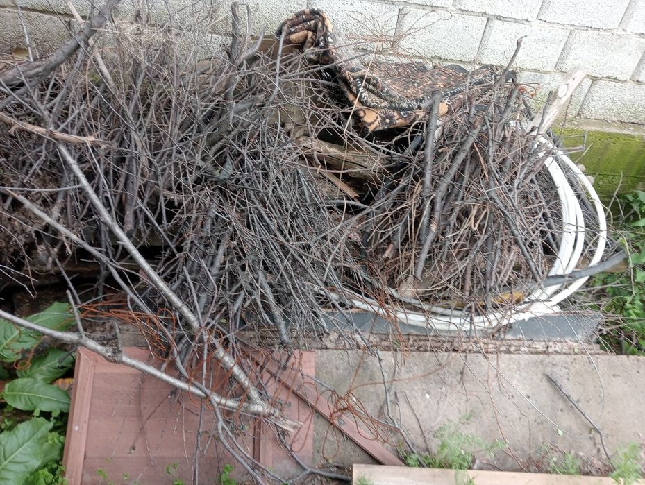 Отын дрова бир газелдей болады