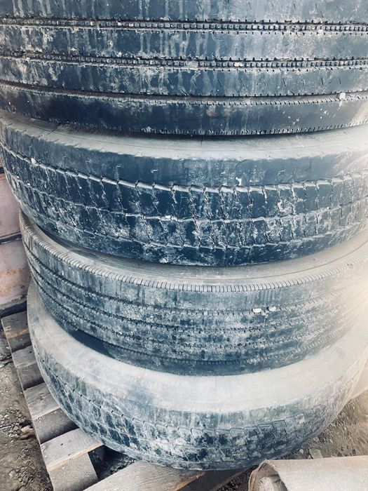 Шина все сезонка