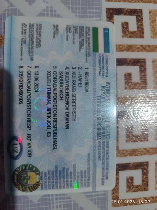 Хайфай Китай 2007 жыл