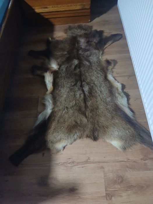 Blana naturală 130 /60