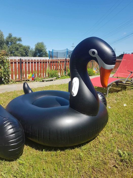 Șezlong gonflabil - Lebădă neagră uriașă, 2 metri