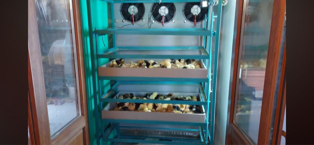 Инкубатор Номад 1000яиц