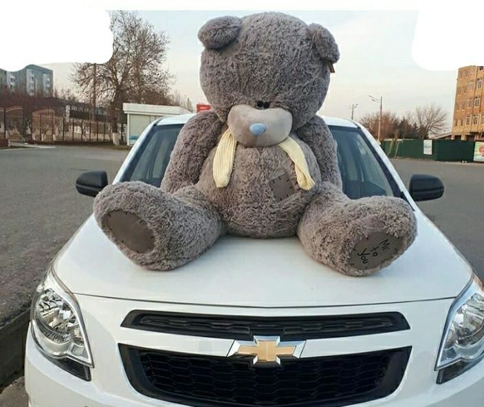 Teddy Teddi Yangi yilga ajoyib orginal sovg'alar