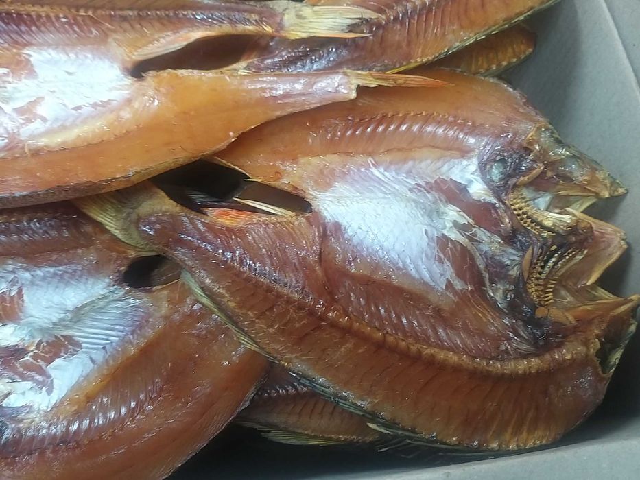 пеледь Боровое горячего копчения