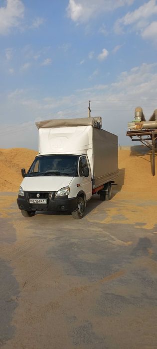 Шоли почок йетказиб берамиз