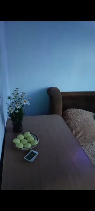 Продам Дачу в Белоусовке