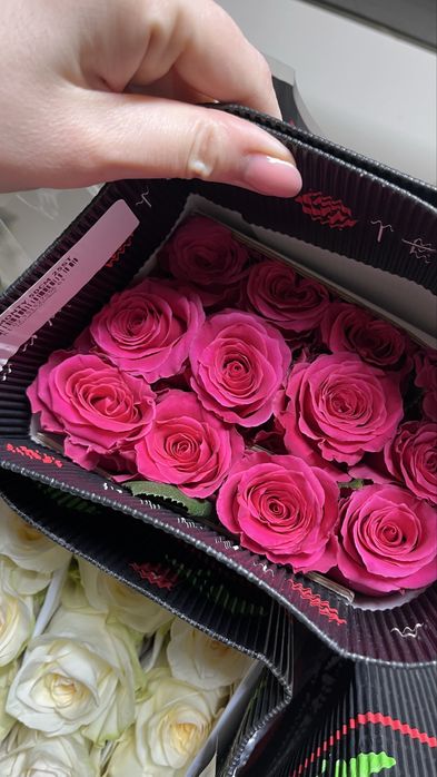 Красная роза 80 см - 700 тг