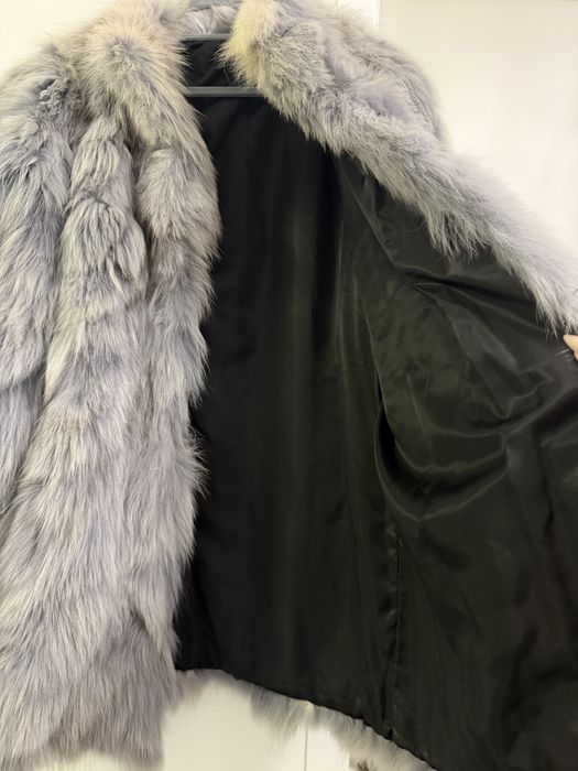 Hsins blana vulpe polara