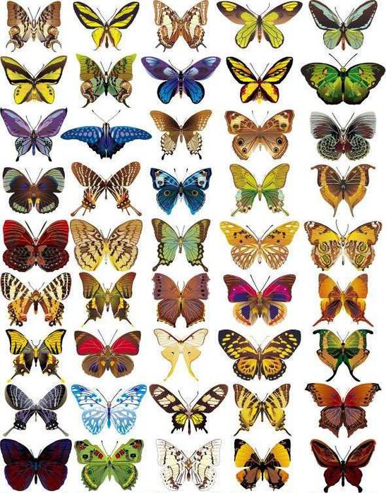 Съедобные картинки для торта 8000 сум.