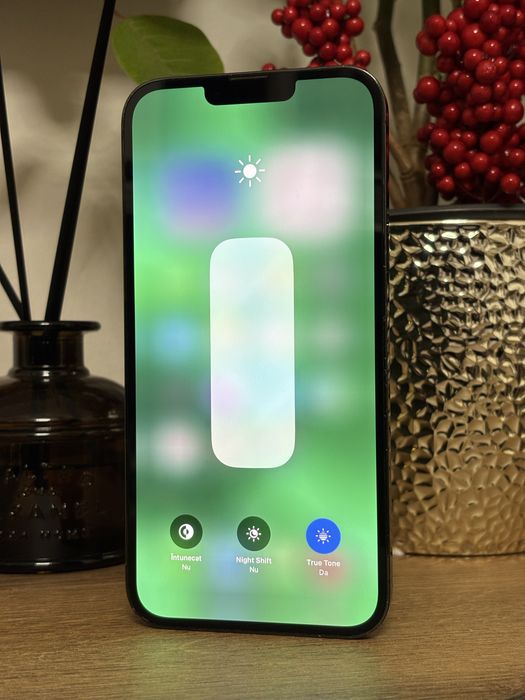 iPhone 13 Pro Max - 100% - Alpine Green - 256GB Neverlocked