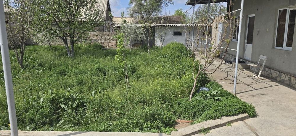 arendaga dacha Sputnik