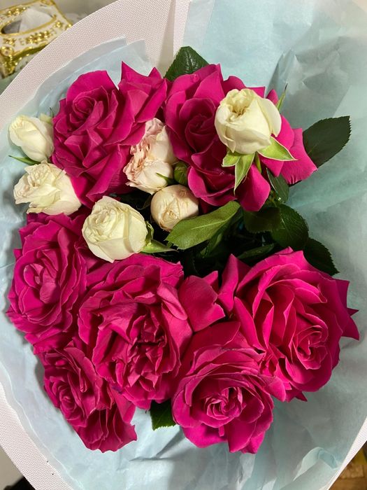 Цветы продам цветы продам