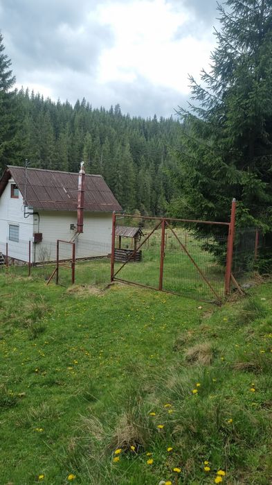 Vand teren la Poiana Horea