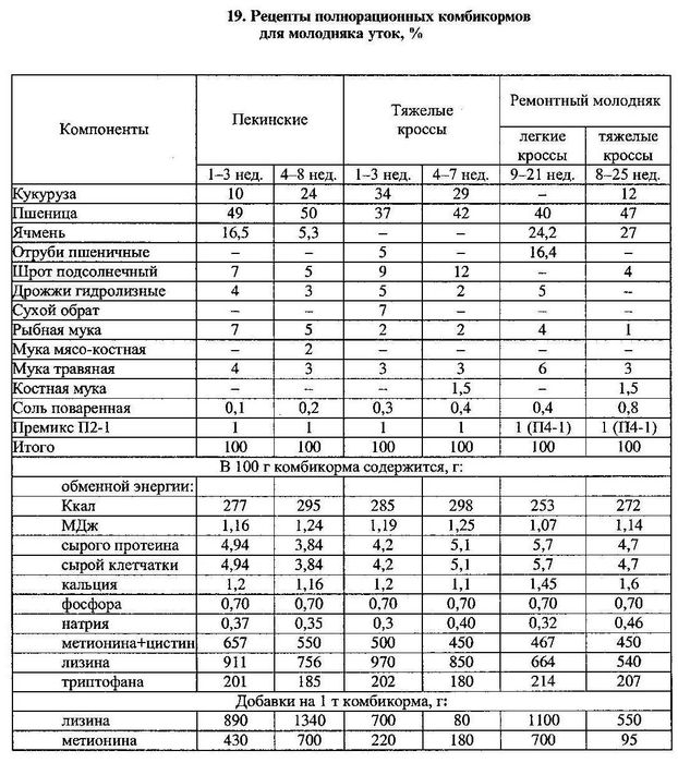 Комбикорм для уток и гусей. O'rdak va g'ozlar uchun ozuqa Yem.