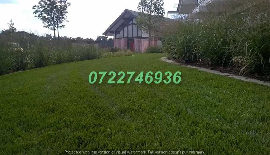 Gazon Verde Natural pentru Curți Moderne
