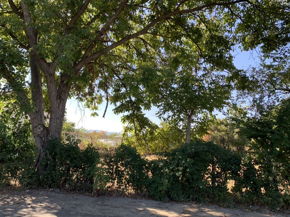 Inchiriez teren strada ostroveni/bulevard dem radulescu