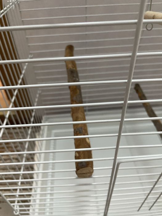 Клетка для попугая, для птиц