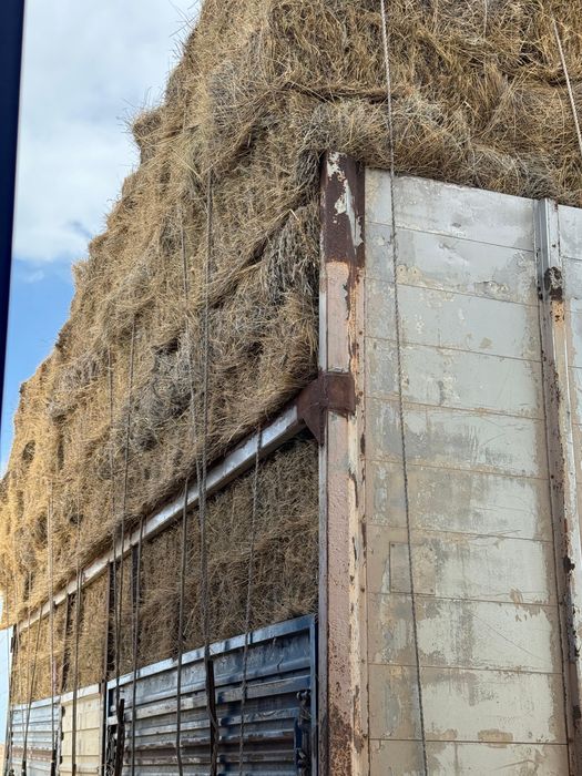 Тюк жусан аралас