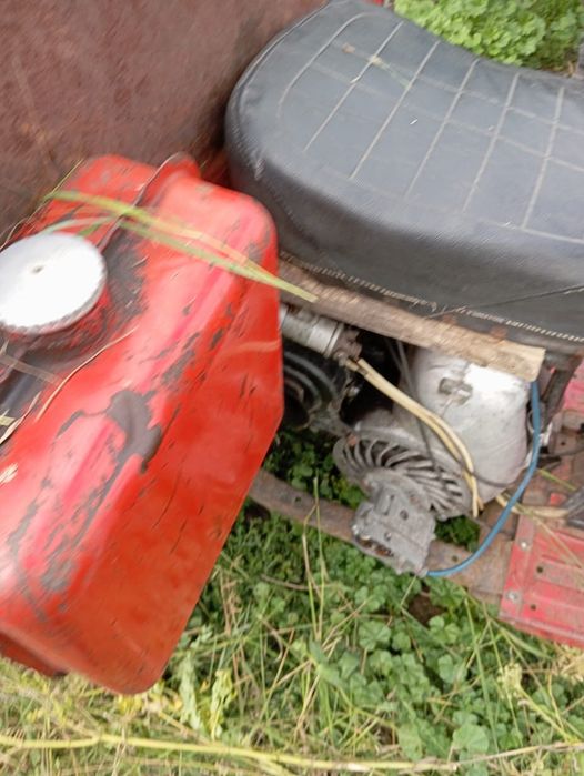 Продам муровей .