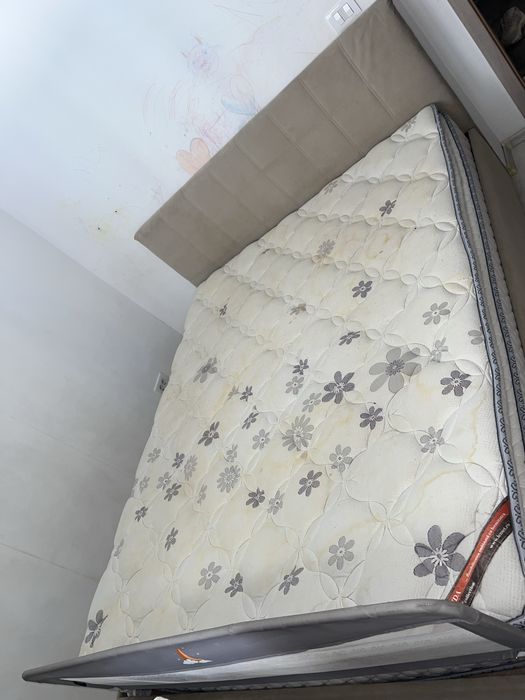 Vand urgent pat tapitat 160 x 200 Lems / Lemet  militari residence